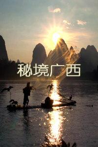 救援受困的长颈鹿
